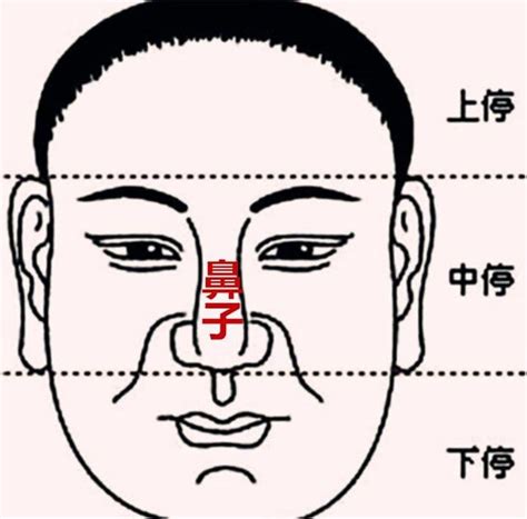 鼻 相學|「面相」鼻為面王，鼻子看你性格和財運！